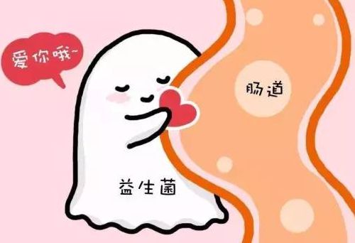 猫咪拉屎一点点一天拉好几次