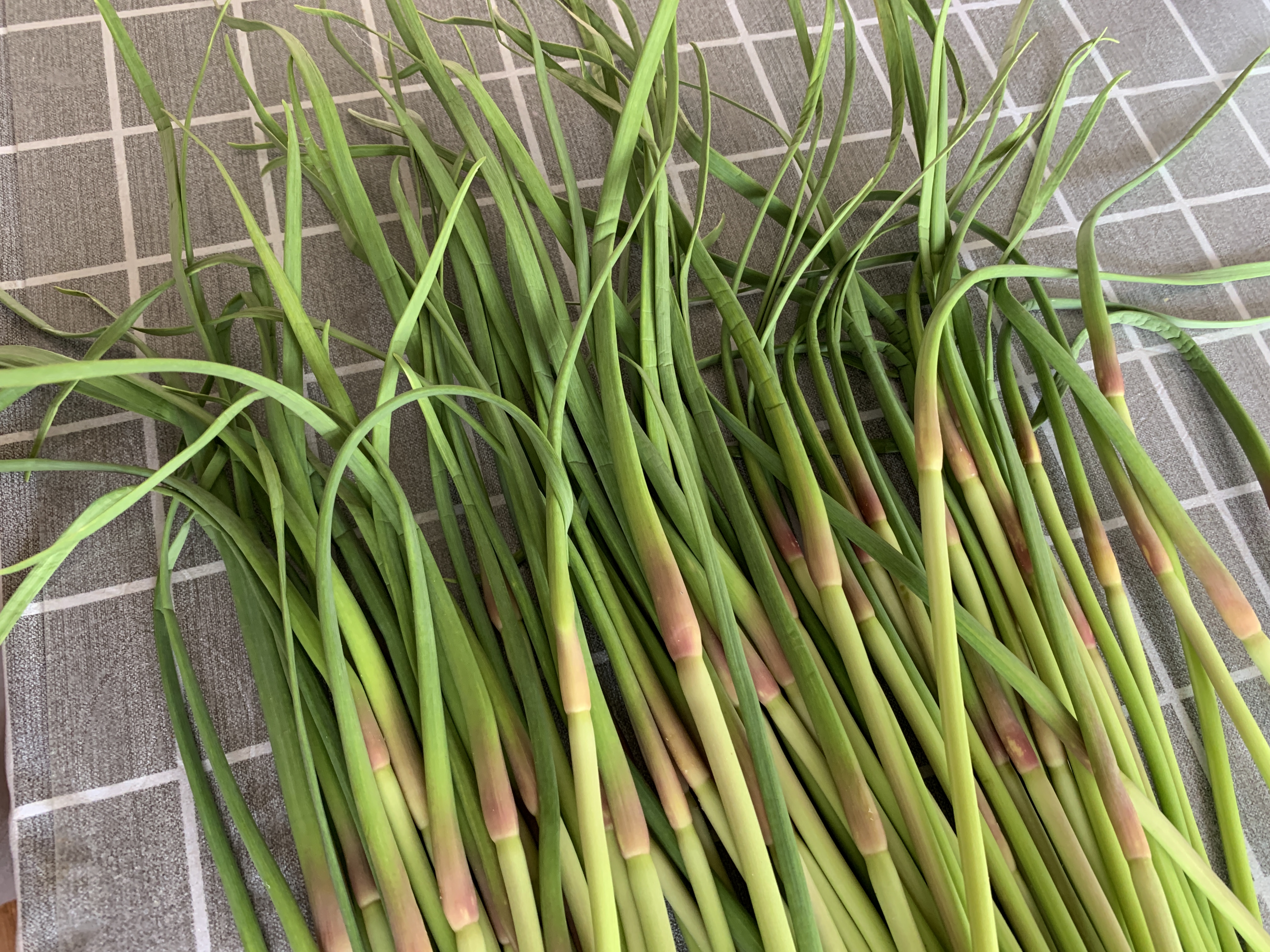 蒜苔和红帽蒜苔有区别吗,蒜苔青帽和红帽有什么区别