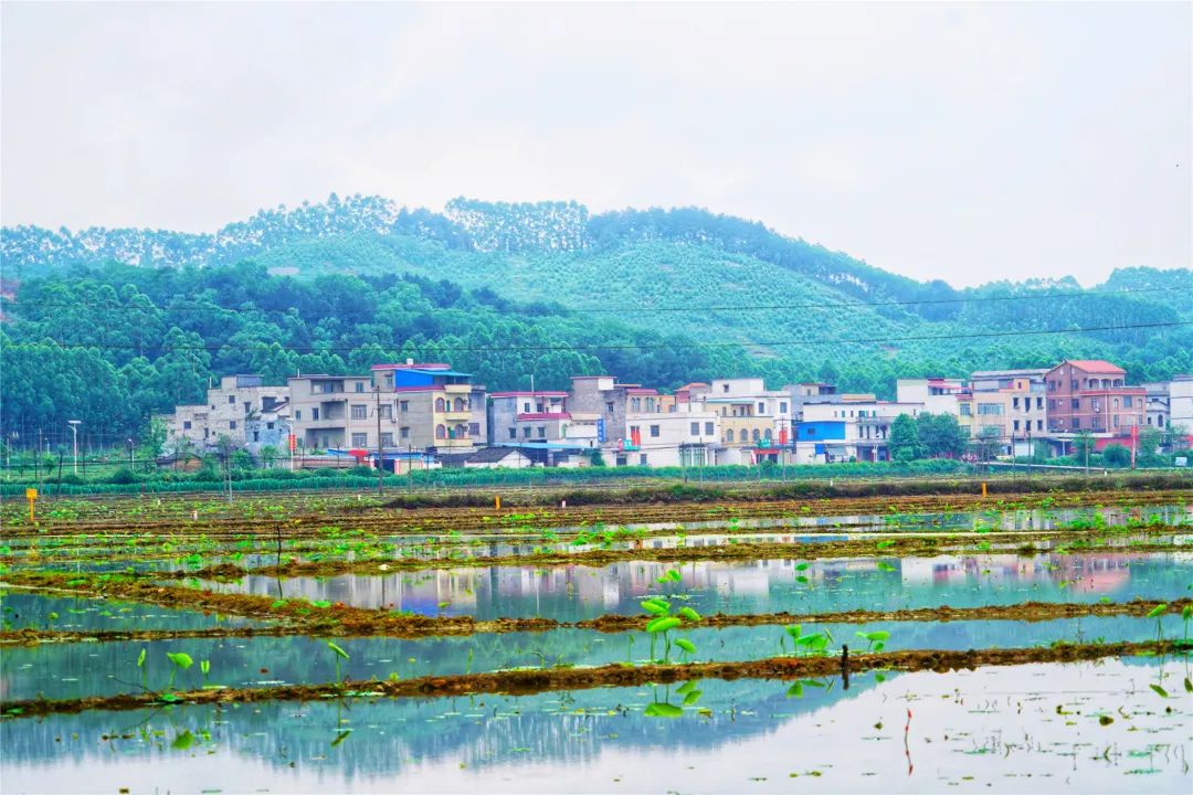 报告文学六：火焰蓝，盛开英雄之花——记贵港消防“全国青年岗位能手”王浩