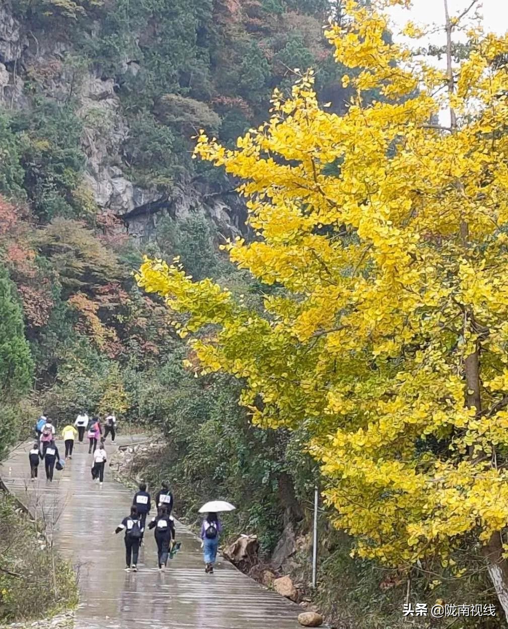 椋庡摜寰掓鐩存挱,闄囧崡椋庡摜璧勮