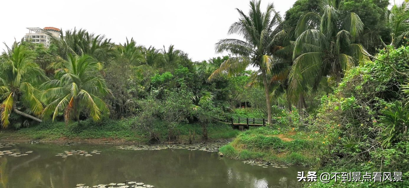 海口海甸岛白沙门公园夜景,海口旅游景点白沙门