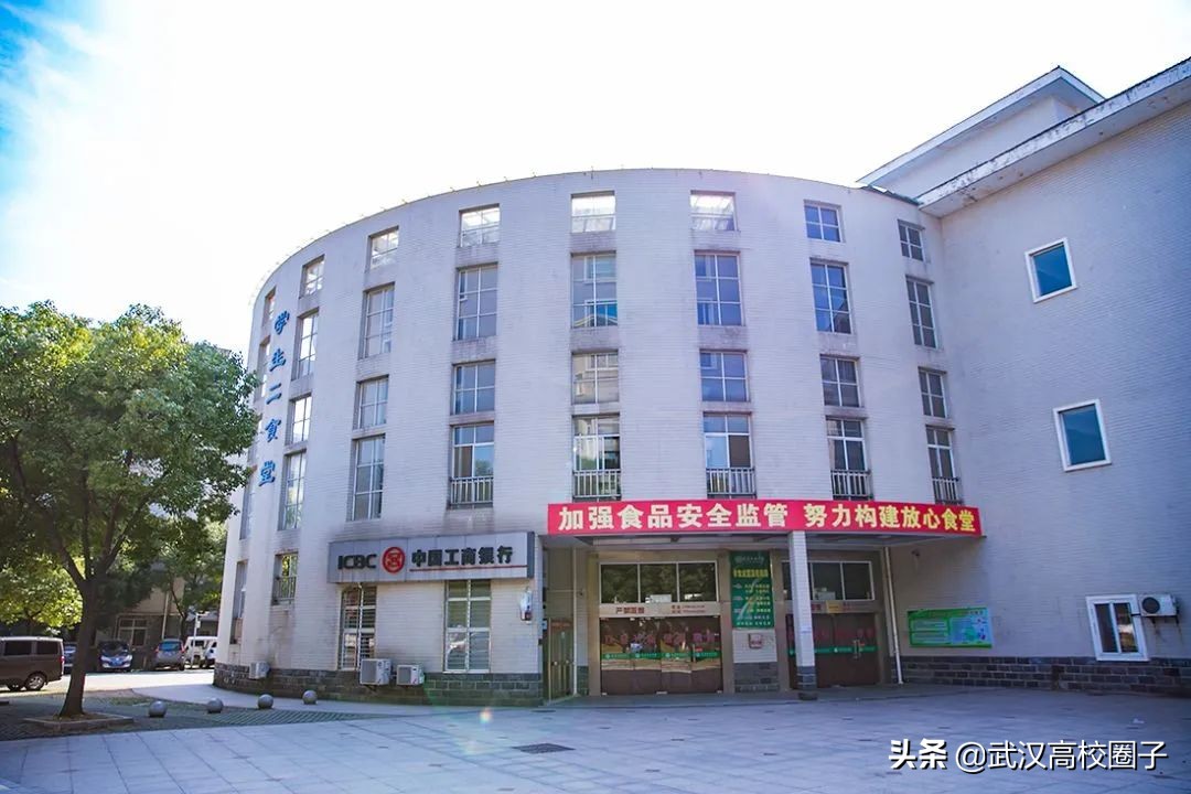 爸妈我想回家视频,爸妈我想回家了原视频