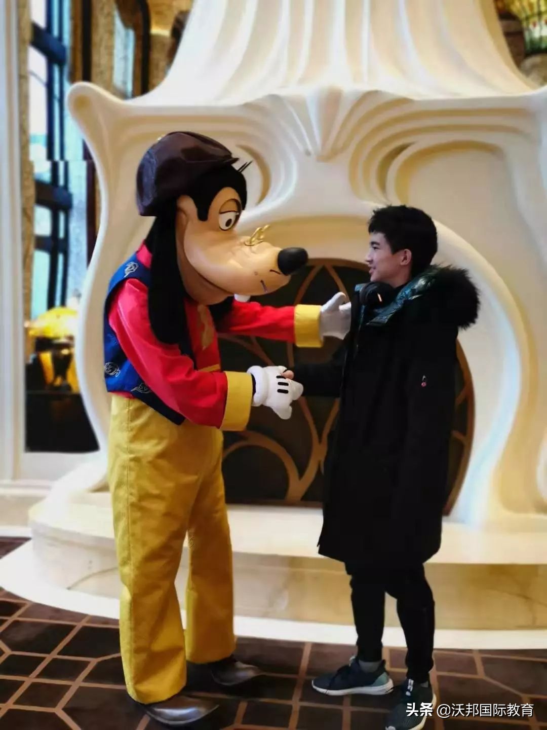 娌冮偊楂樺垎瀛﹀憳瑙嗛,娌冮偊鎵樼