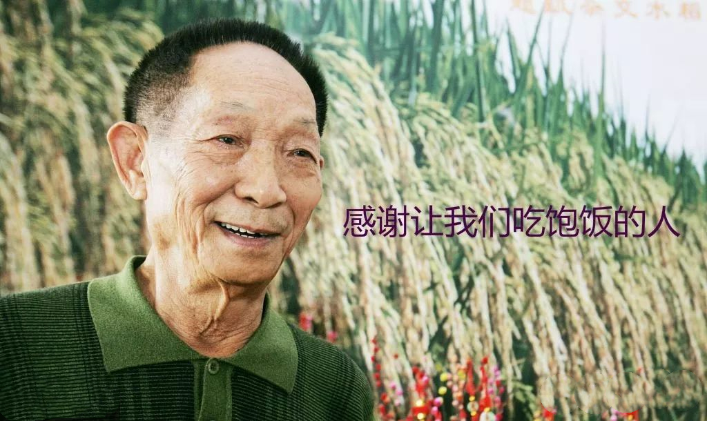 为什么密封好的大米还能长出虫子,大米里面为什么会长虫