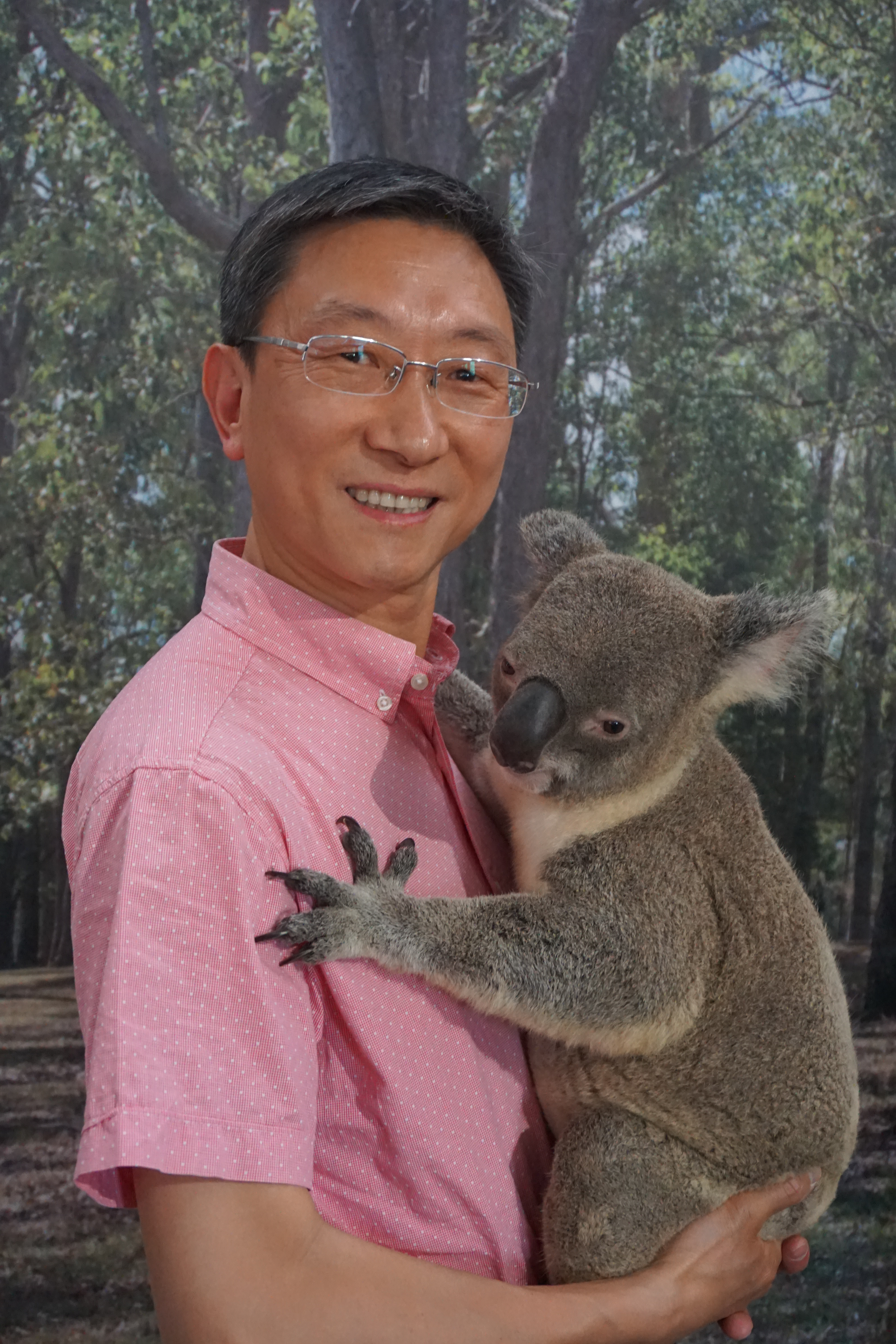 布里斯班黄金海岸规划,布里斯班黄金海岸温度