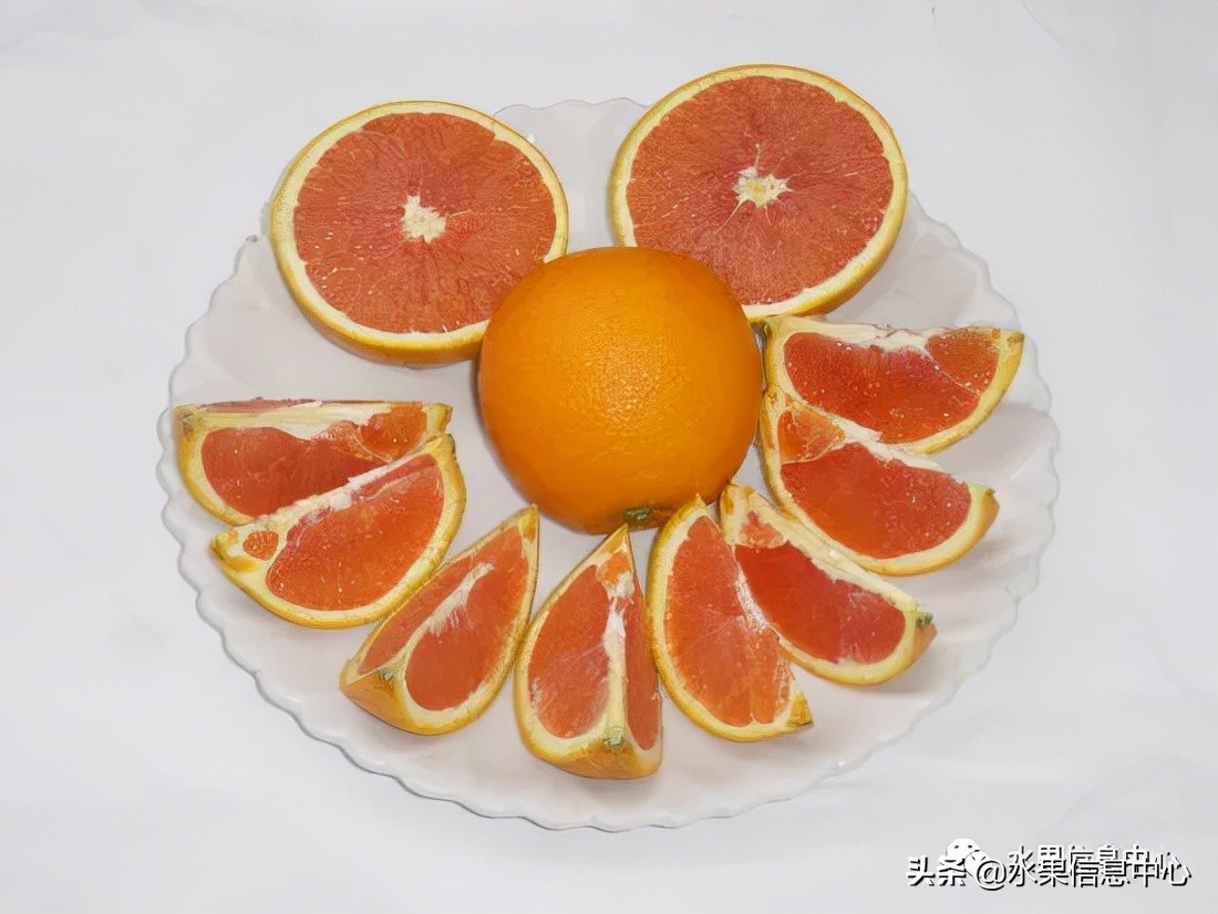 全国橙子产地在哪,中国橙子产地