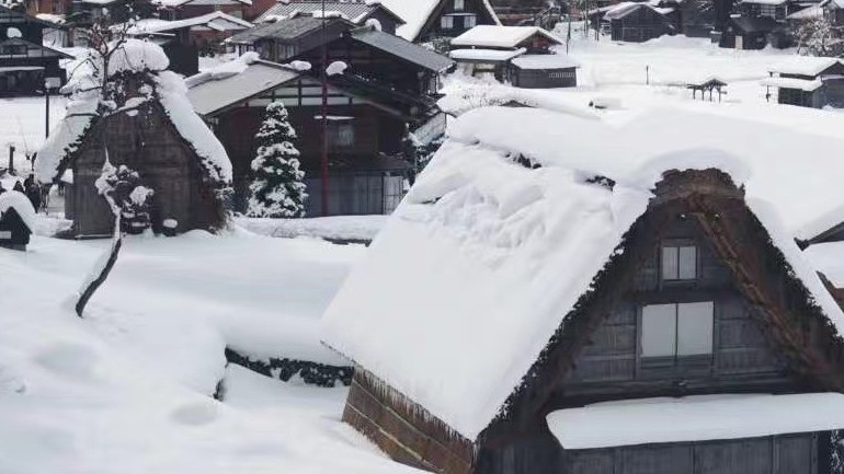 你花一整天搜索资料,居然不如新员工一分钟?