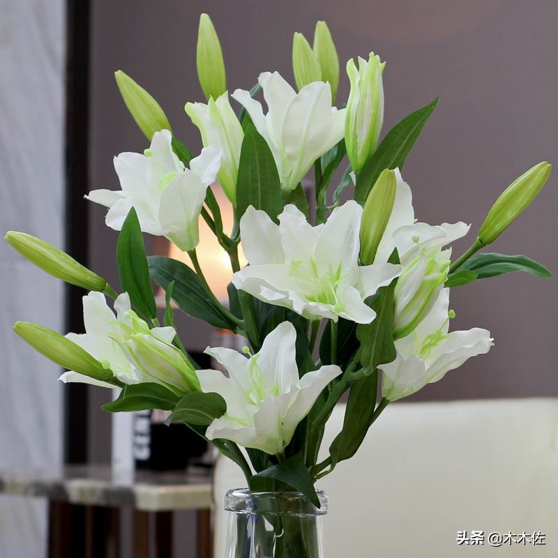 百合花公司简介,百合花简介300字