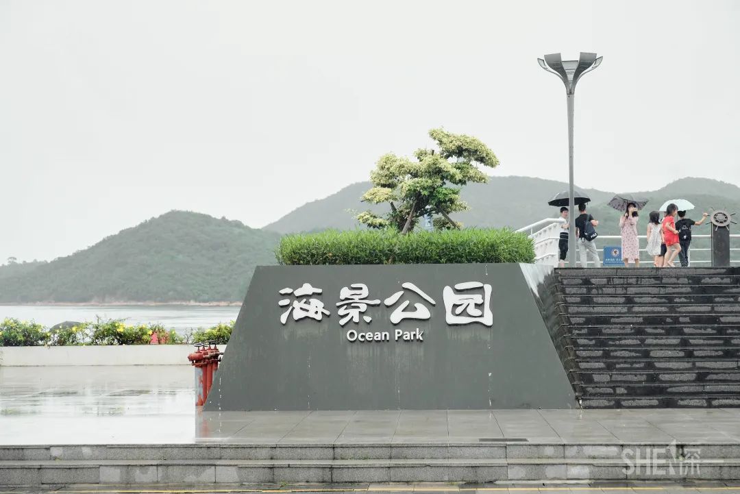 深圳商场爆满,深圳为什么商场那么多