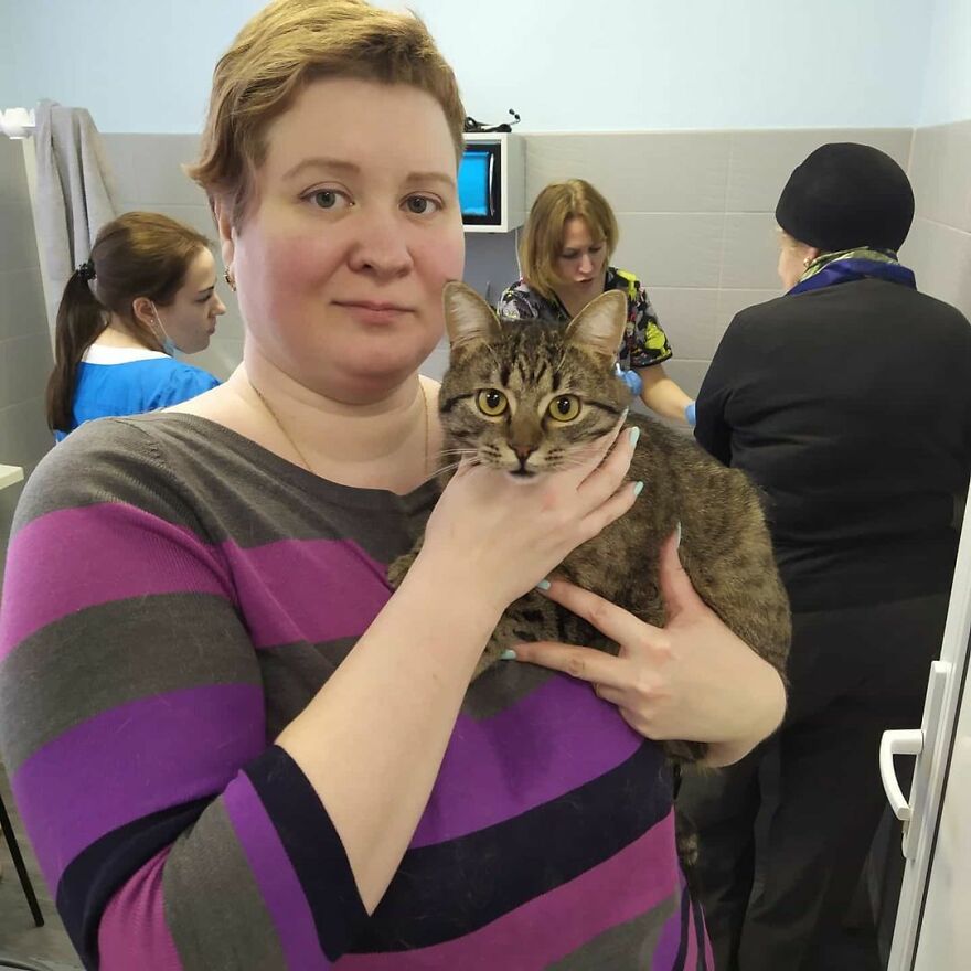 关于猫的13个误解，其中一些可能会让你大吃一惊