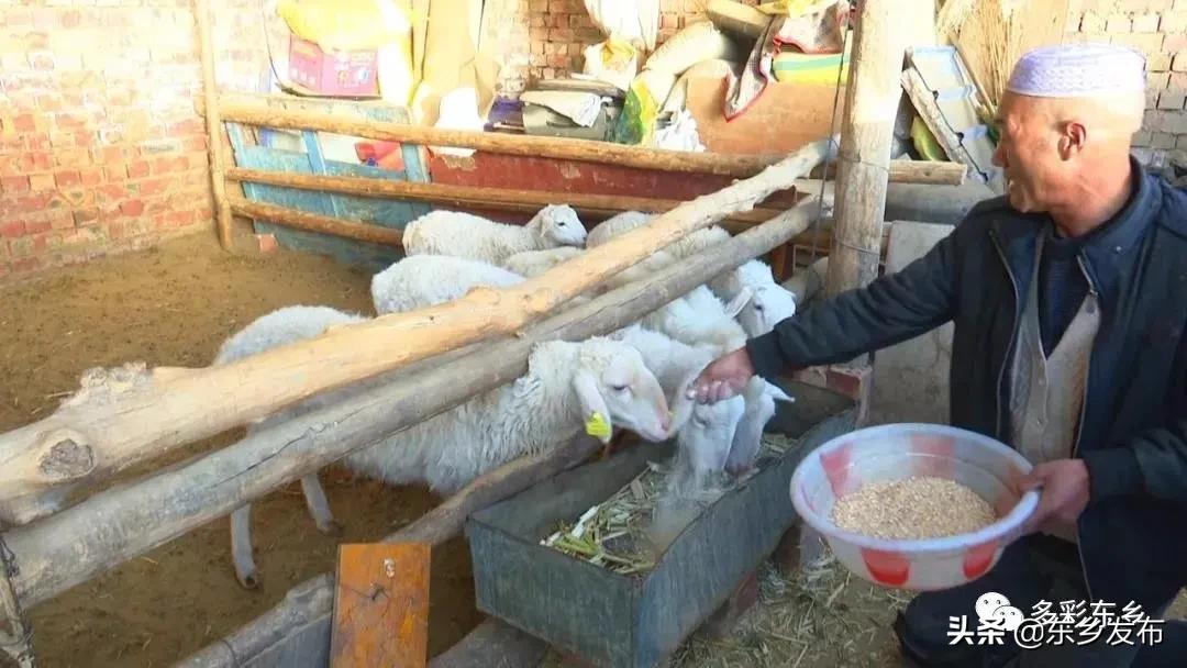 韬畫蹇楀潥涓嶅繕鏈府鎵朵埂浜插悓鑷村瘜,韬畫蹇楀潥涓嶄綆澶磋劚璐嚧瀵屽媷浜夊厛