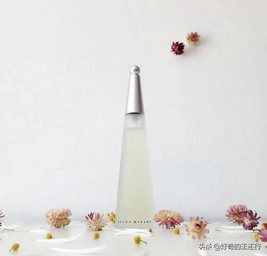 三宅一生的一生之水适合什么年龄,三宅一生女人