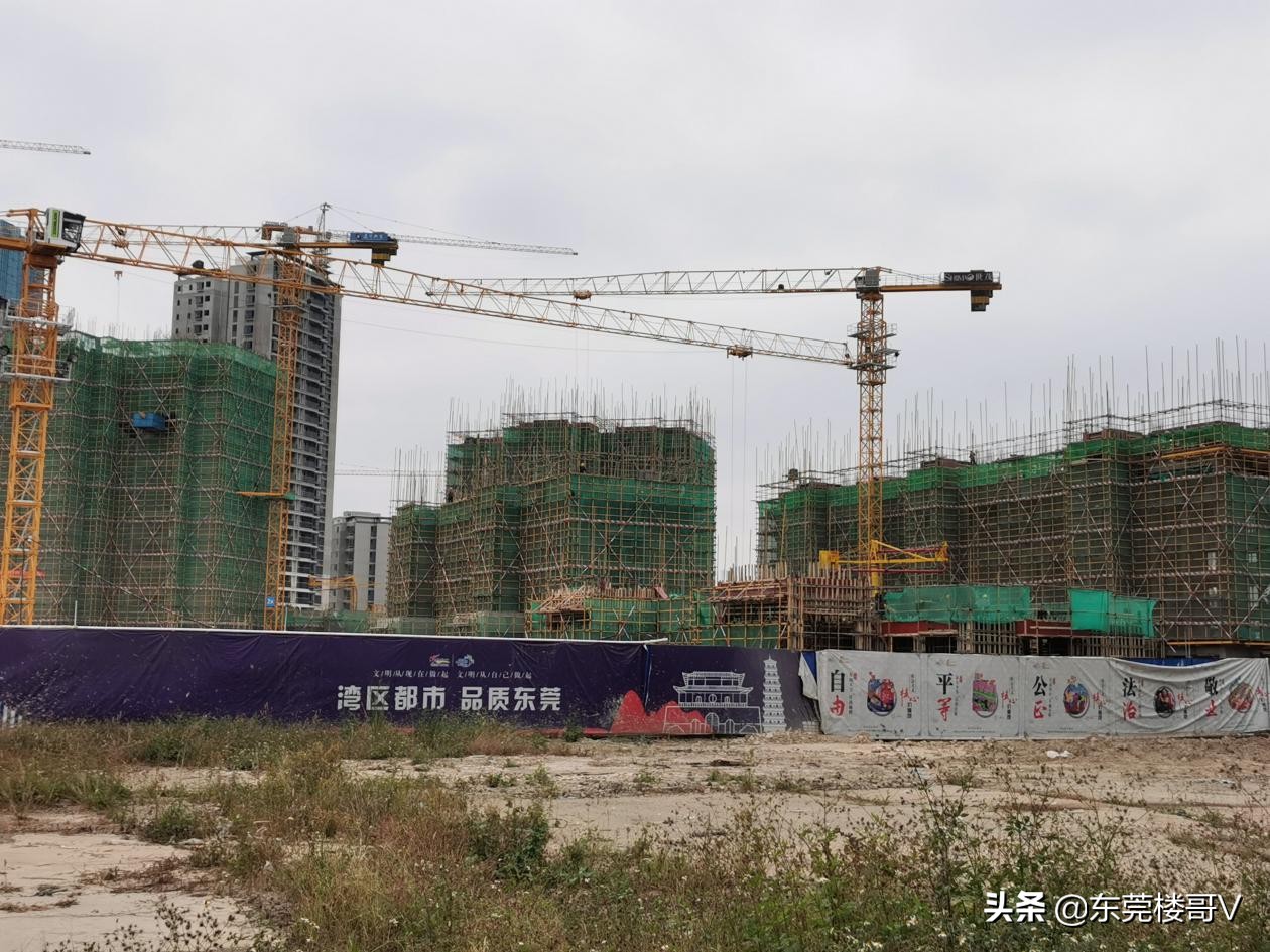 沙田海上明悦卖完了吗,东莞沙田海上明悦最新价格