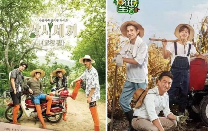 剽窃抢注商标,抄袭乘风破浪