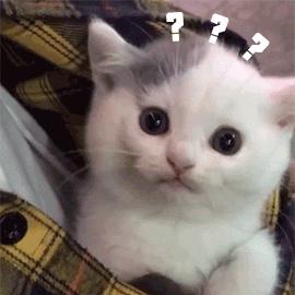 uv高倍防晒帽,可折叠遮阳帽uv防晒帽