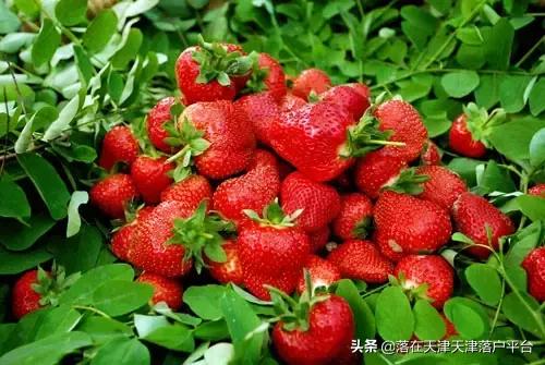 为啥都在滨海买房子房价又不便宜,在滨海新区买房的42个理由