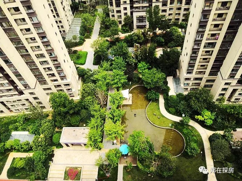 康桥再别康桥,康桥再会吧与再别康桥的区别