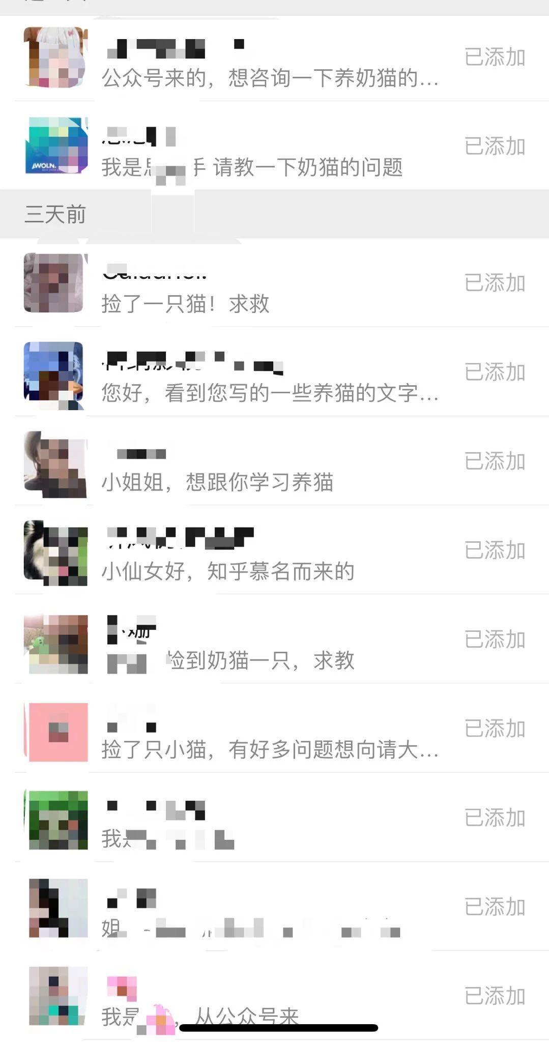 两只超凶的小奶猫怎么养,养刚出生的猫