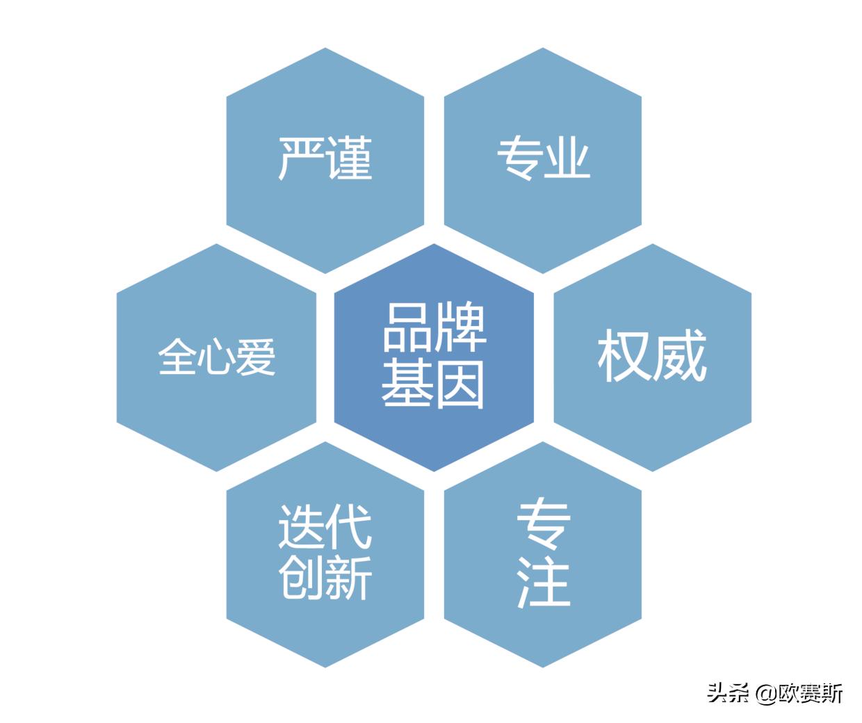 欧赛斯品牌全案案例分享,欧赛媤品牌全案定位