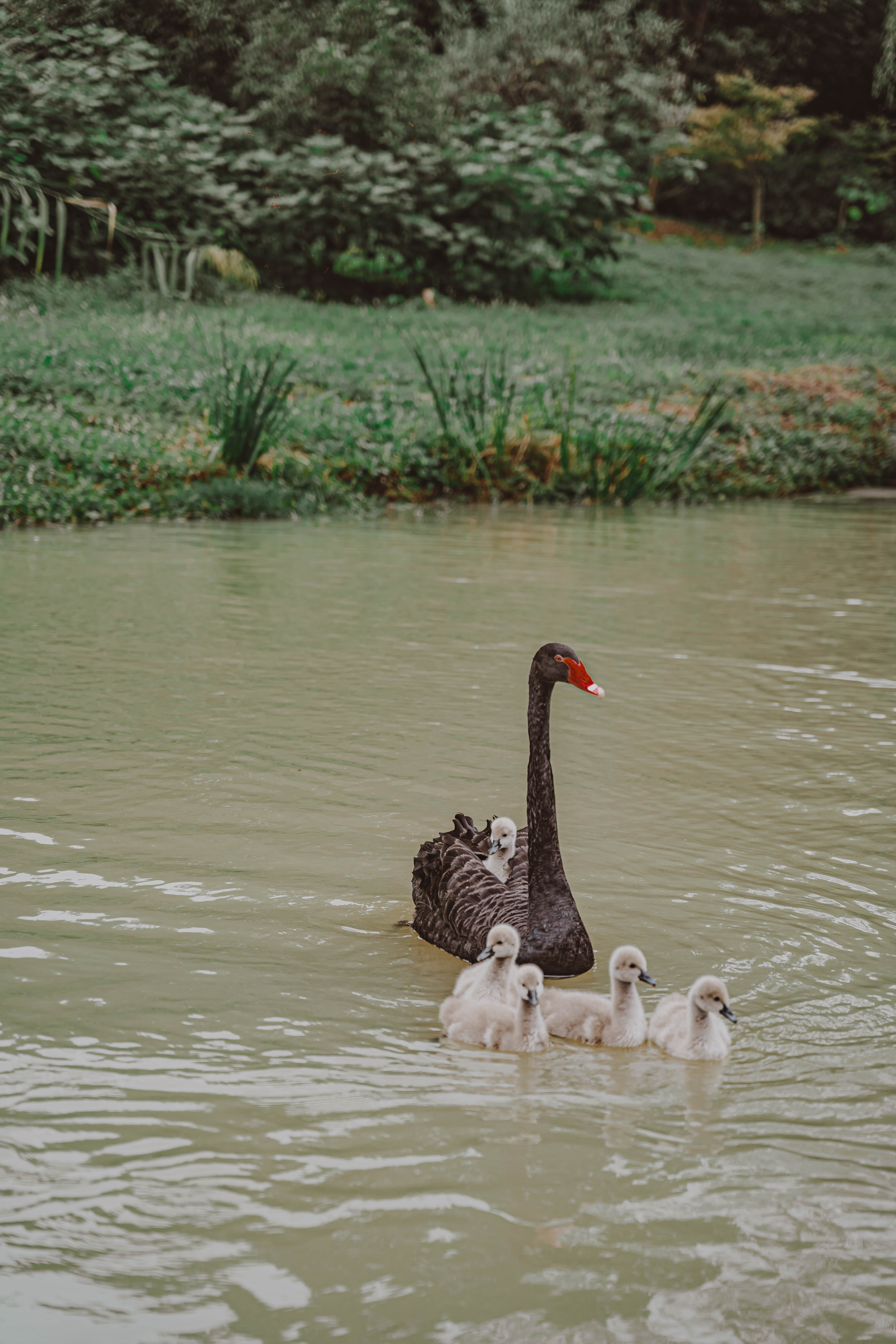 秋冬就要泡温泉呀,冬天一定要一起去泡温泉