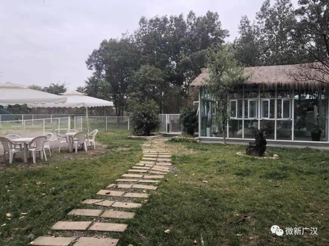 游记|来和兴吧!这里的美景美食每一样都超skr~