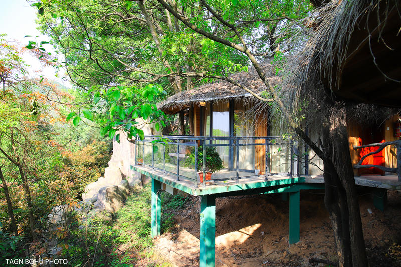 衢州飞越丛林探险乐园,浙江衢州深山