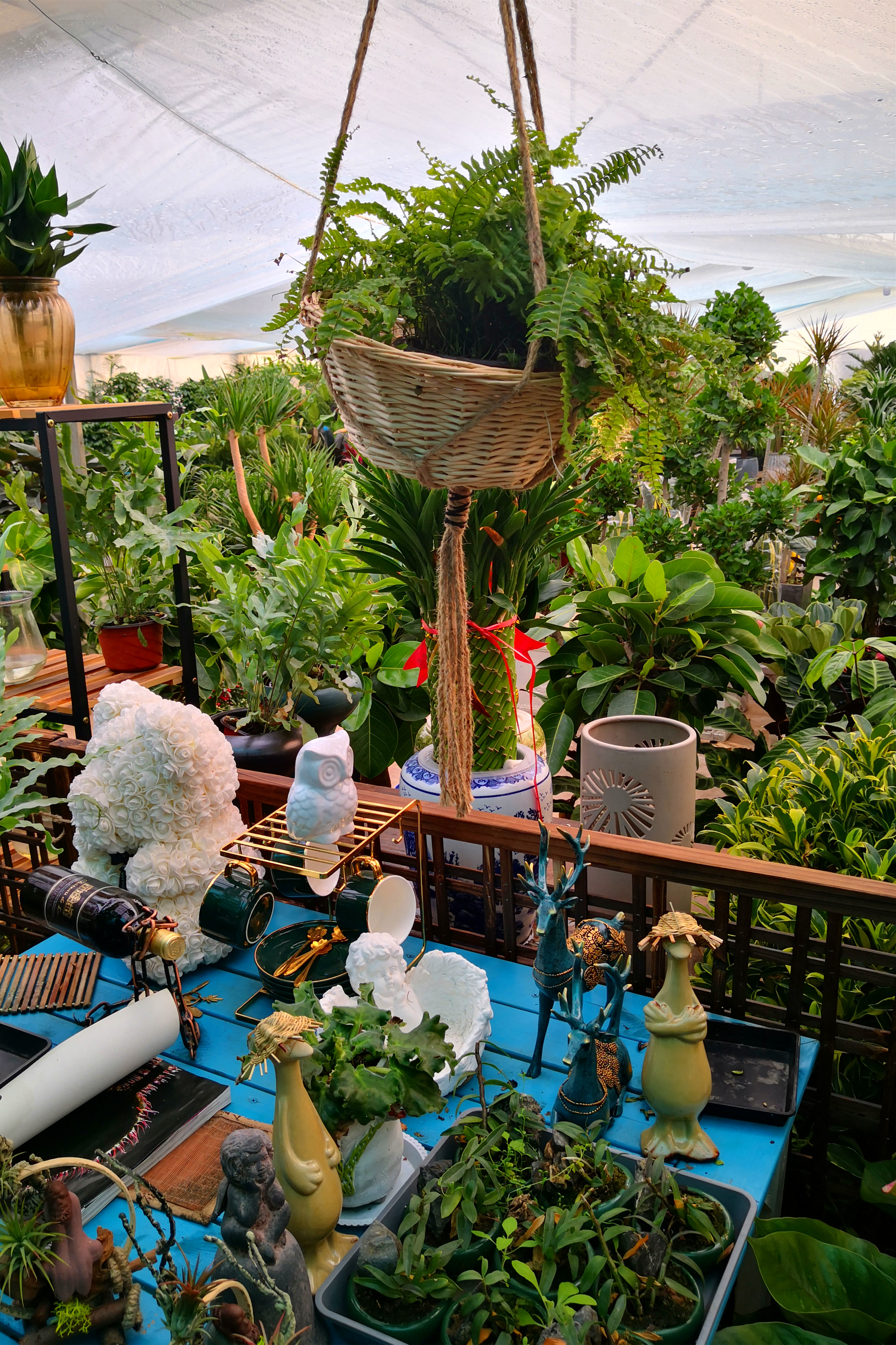 东营最大的花卉批发市场在哪里,东营地区哪里有花卉市场