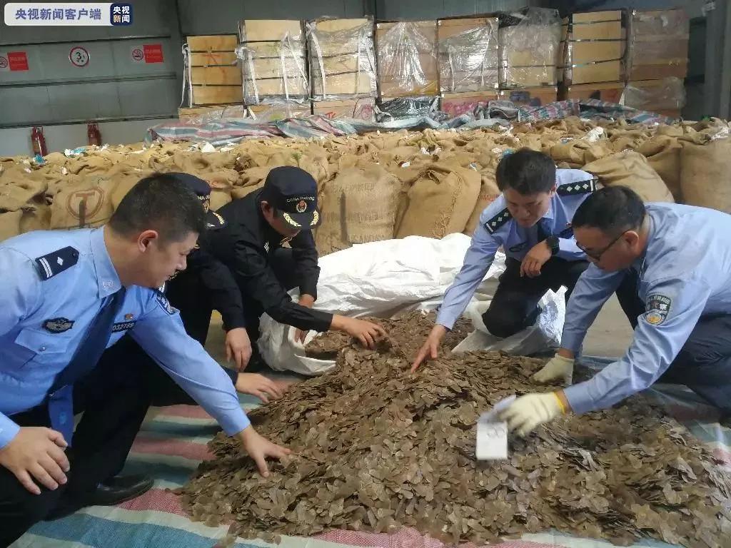 穿山甲除名是真的假的,穿山甲会被除名吗