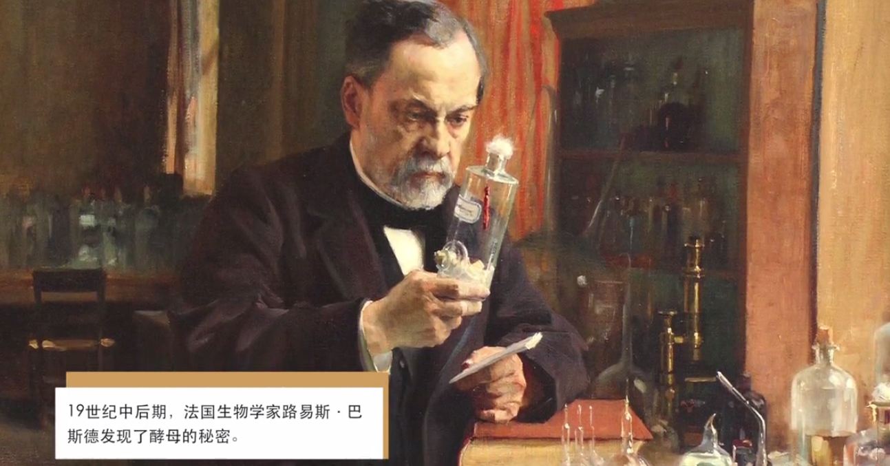 葡萄酒怎么酿制家庭版最好喝,葡萄酒怎么酿简单又好吃