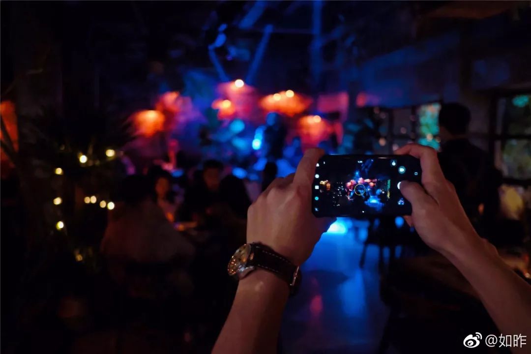 单身狗保护条例,单身狗防伤害地图指南