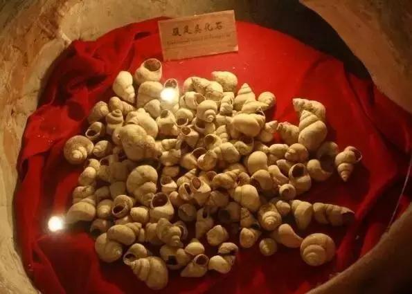 鍗冨勾鍓嶇殑妗傛灄,鐧惧勾鍓嶇殑妗傛灄