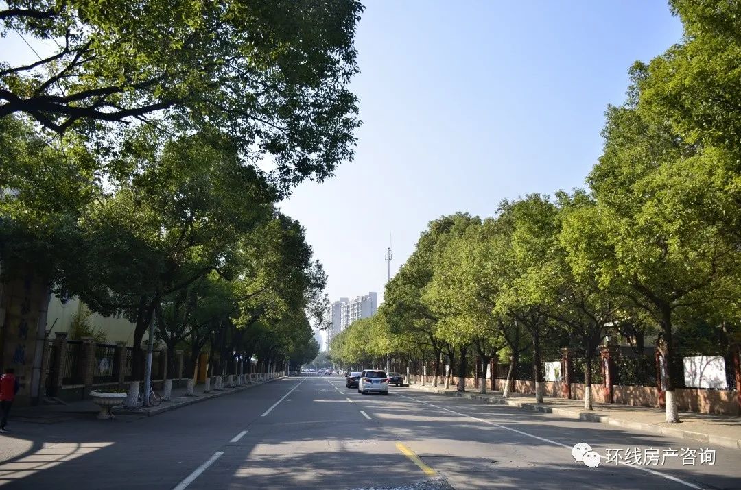 古美最新消息,古美板块还有发展吗