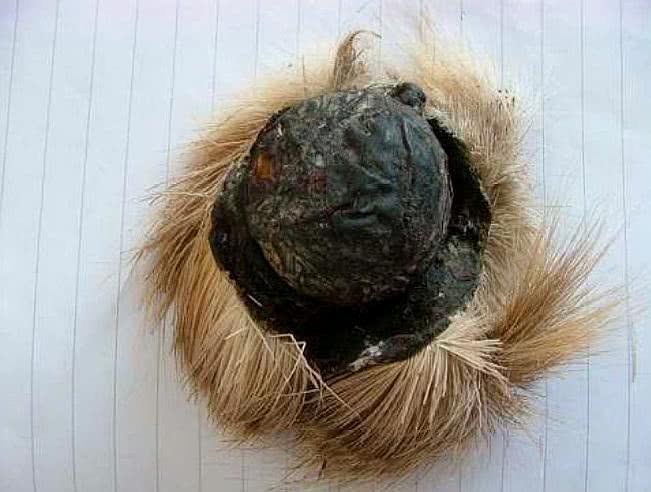 钓鱼用的麝香酒是真的假的,钓鱼用的麝香酒跟普通酒有区别吗