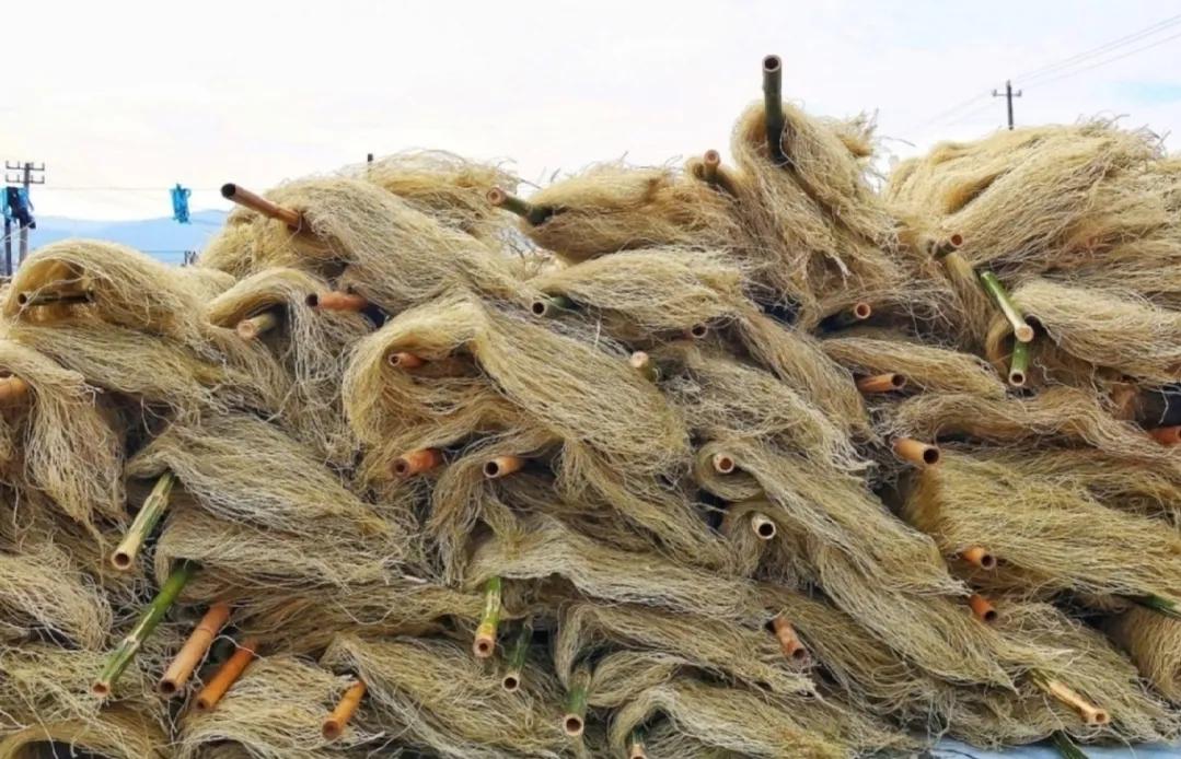 传统的粉条需要加明矾吗,手工粉条与机制粉条都加明矾吗