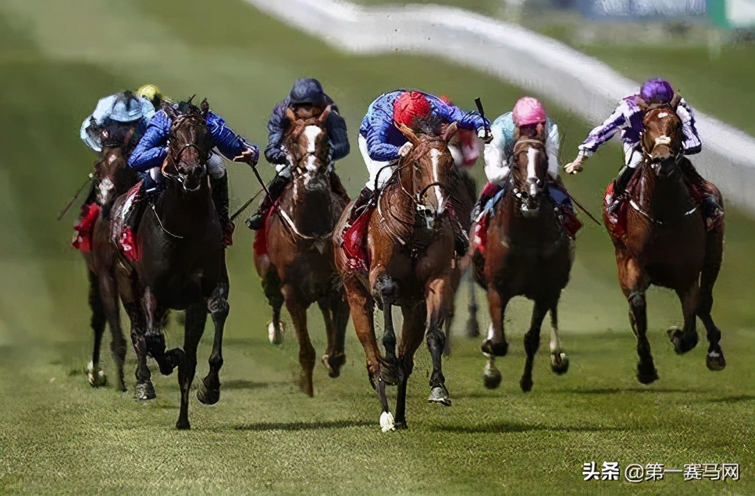 「调研」海南开展赛马行业及赛马*彩博**业的可行性研究