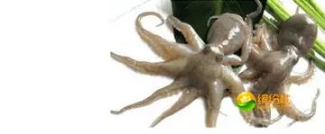 舟山海鲜攻略2天3晚吃什么,舟山海鲜代加工攻略