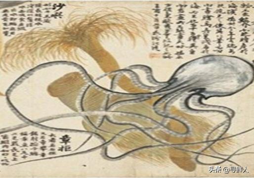 沙虫做的美味土笋冻你敢吃吗,土笋冻里面的虫子好吃吗