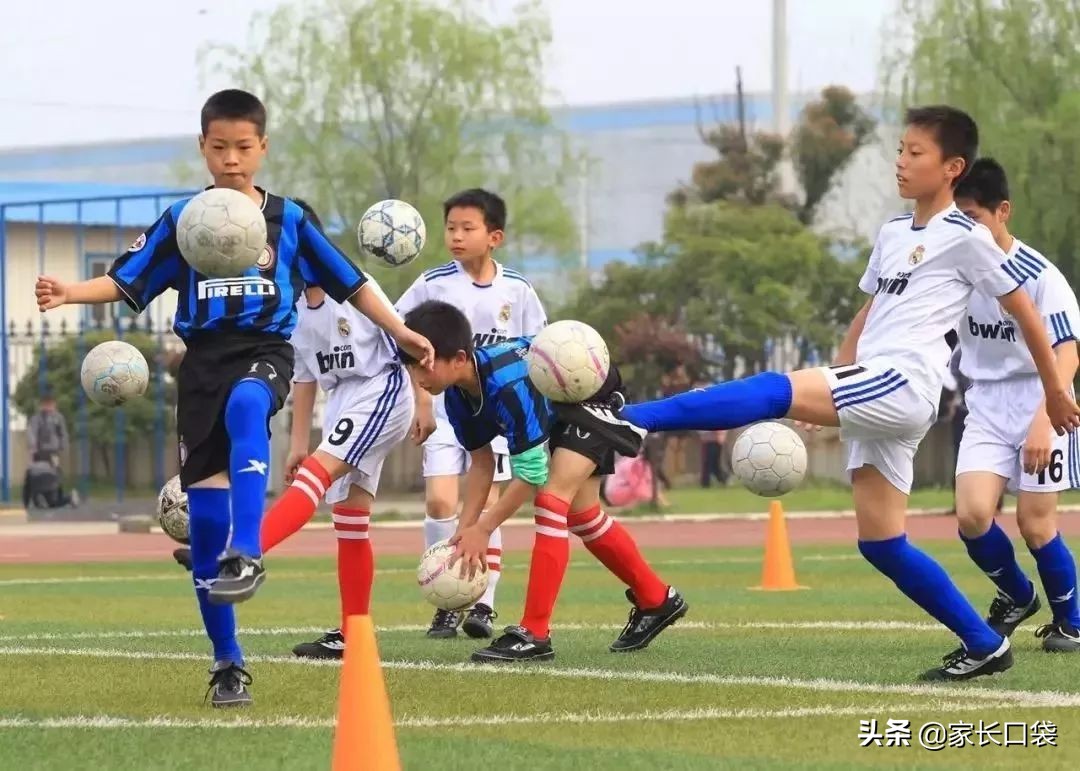 上海高标准小学招生排名榜,上海新政小学