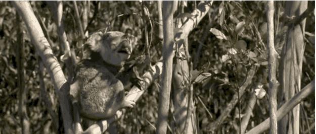 16个让你质疑的科学常识,太阳表面温度不高?