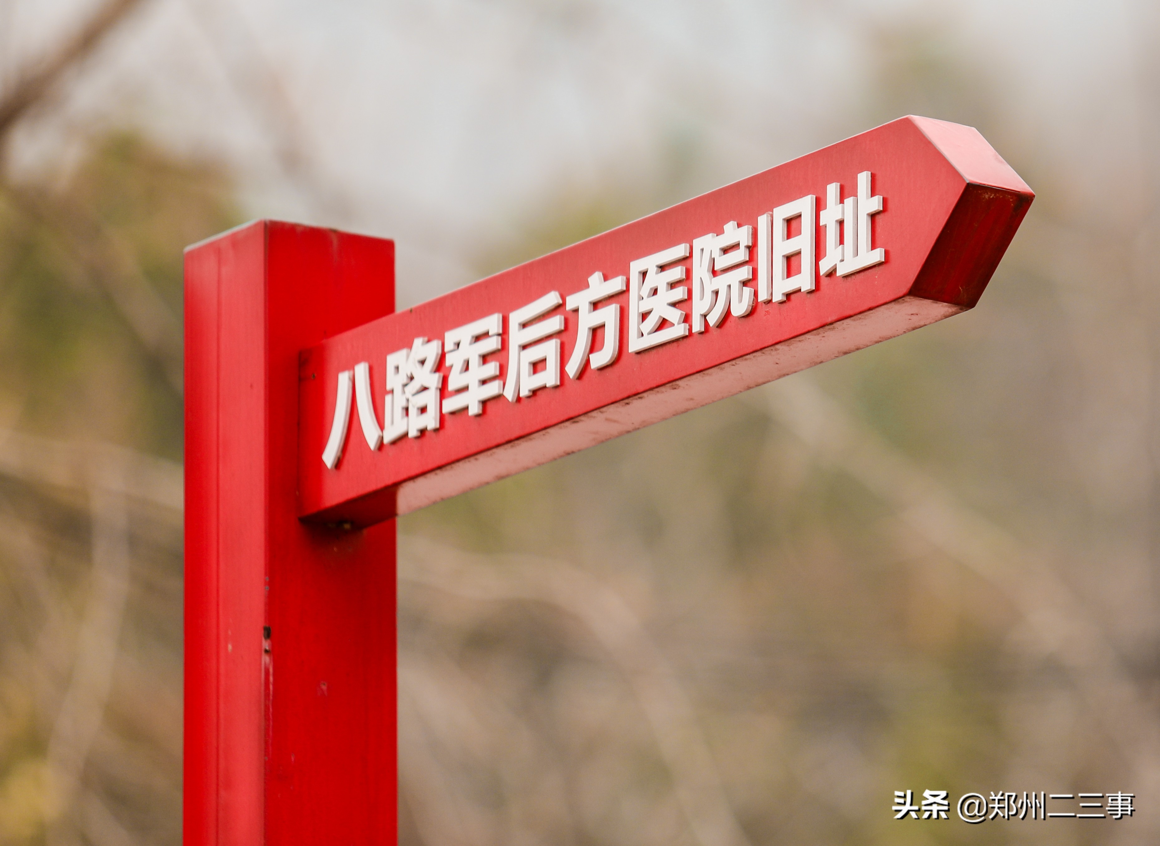 郑州惠济区免费遛娃好去处植物园,郑州遛娃踏青好去处