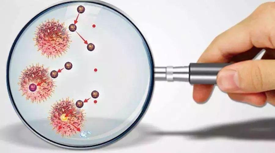 妇科恶性肿瘤严重威胁女性的健康，其发病与生殖道菌群的关系密切