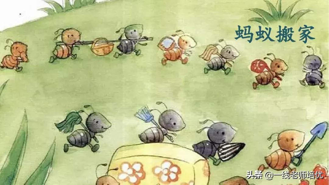 部编版语文第5单元三年级上册,部编版三年级语文上册第三单元