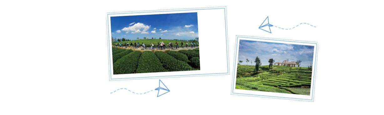 松阳古村落美如人间仙境的风景,在松阳的古村落里寻找诗和远方