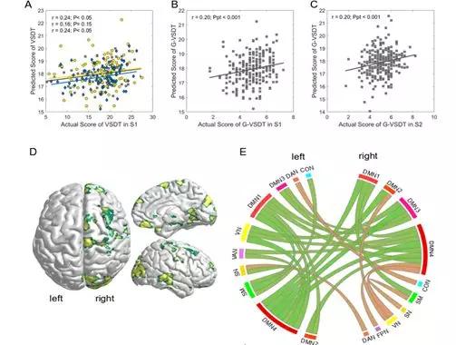 脑科学日报最新视频,论述大脑半球和认知的关系
