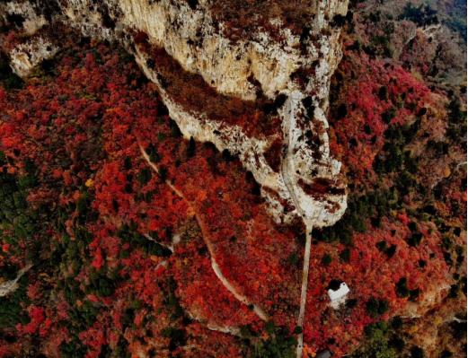 石家庄十一周边自驾游攻略,十一石家庄到胡杨林自驾游攻略