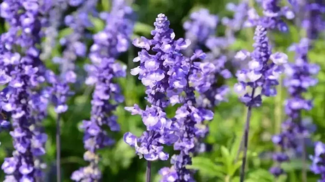 讲好黄河故事传承河洛文化,讲好黄河故事传承黄河文化内容