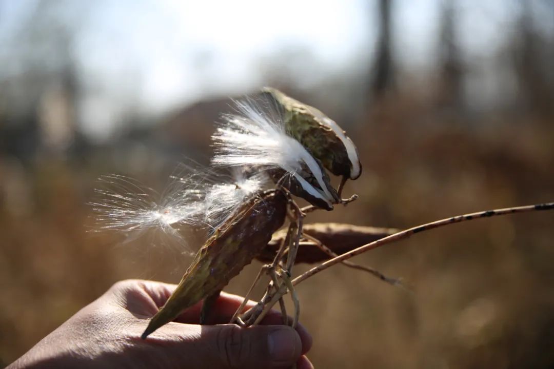 高密作协田野考察（三）乐者电子商务，迎乐科技发布