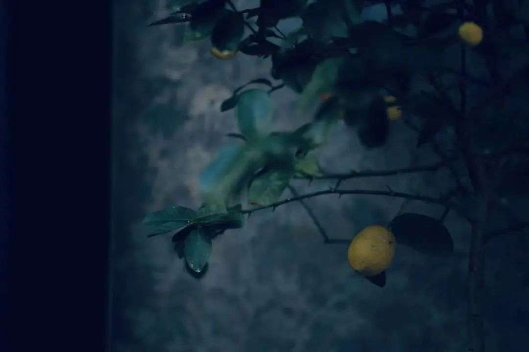 万豪凯悦洲际酒店,万豪希尔顿洲际酒店