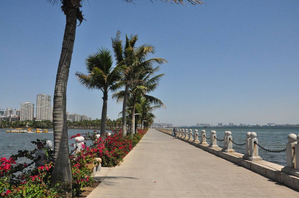 香港骑行自行车怎么通关,骑行去香港旅游攻略