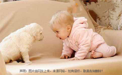 女宝宝优雅名字大全集,名字大全女孩安静乖巧